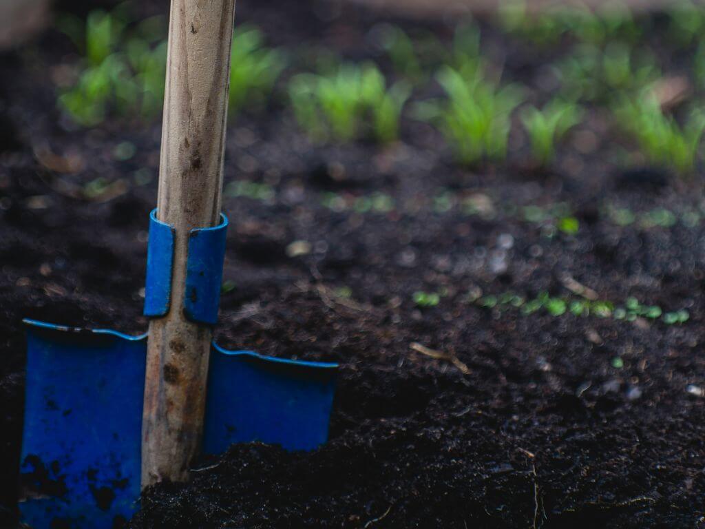 Gardening tools buried in fertile dark soil in a garden bed, hinting at preparation for planting or maintenance work.