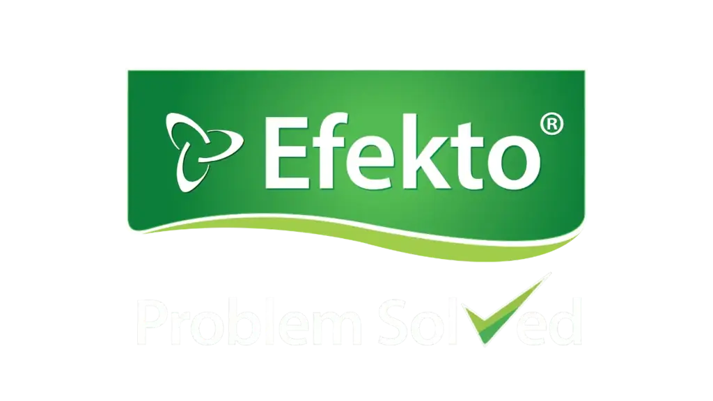 efekto header logo