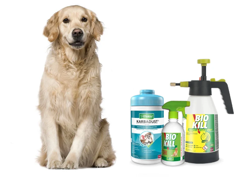efekto pet protection