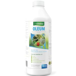 Efekto Oleum