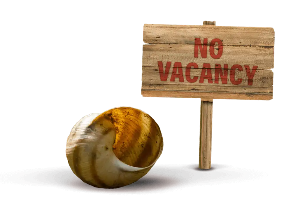 efekto-snail-no-vacancy-99